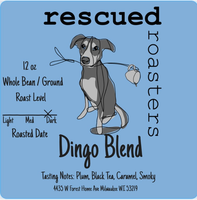 Dingo Dog